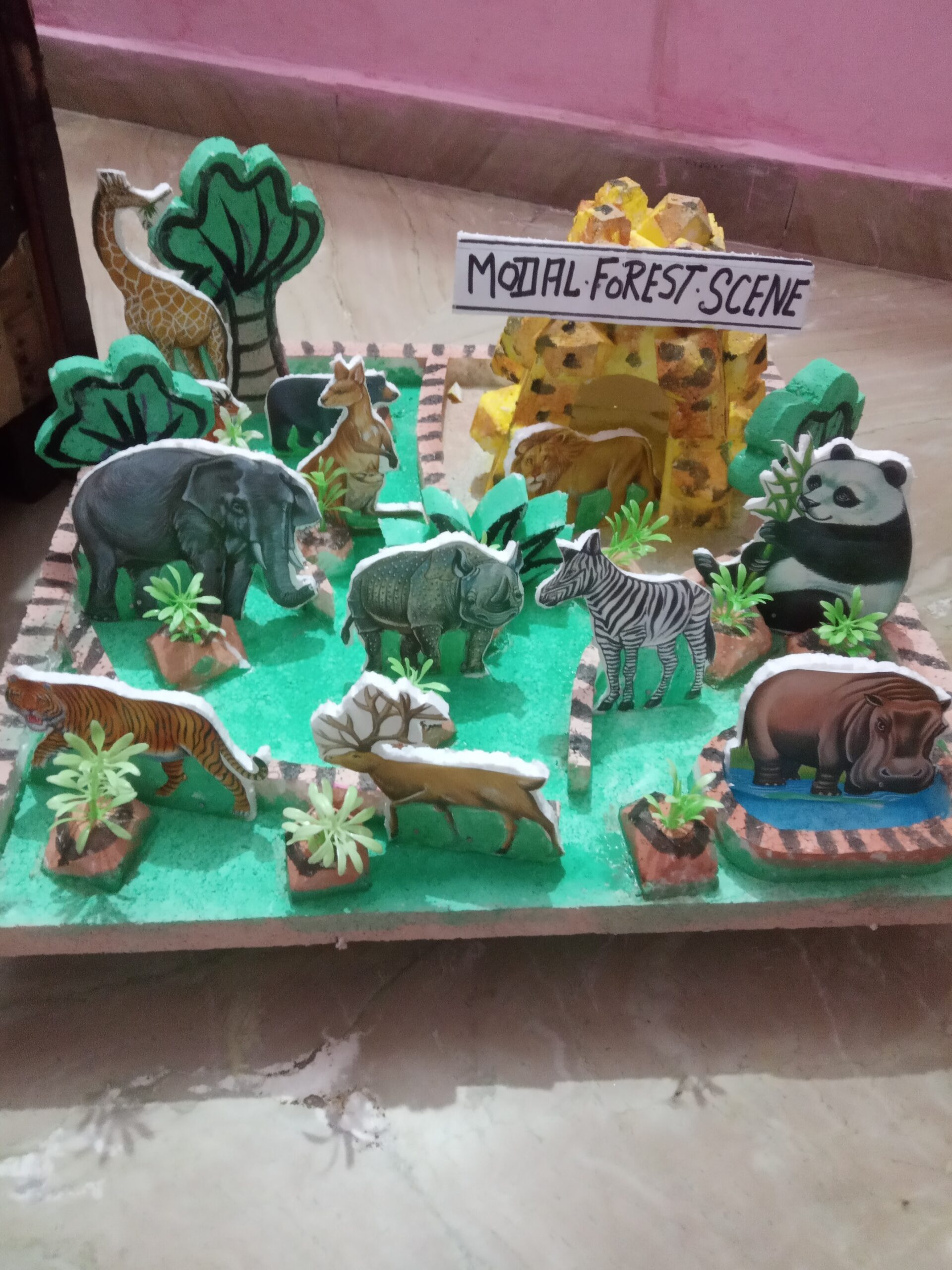 IMG_20221206_140114 1 scaled