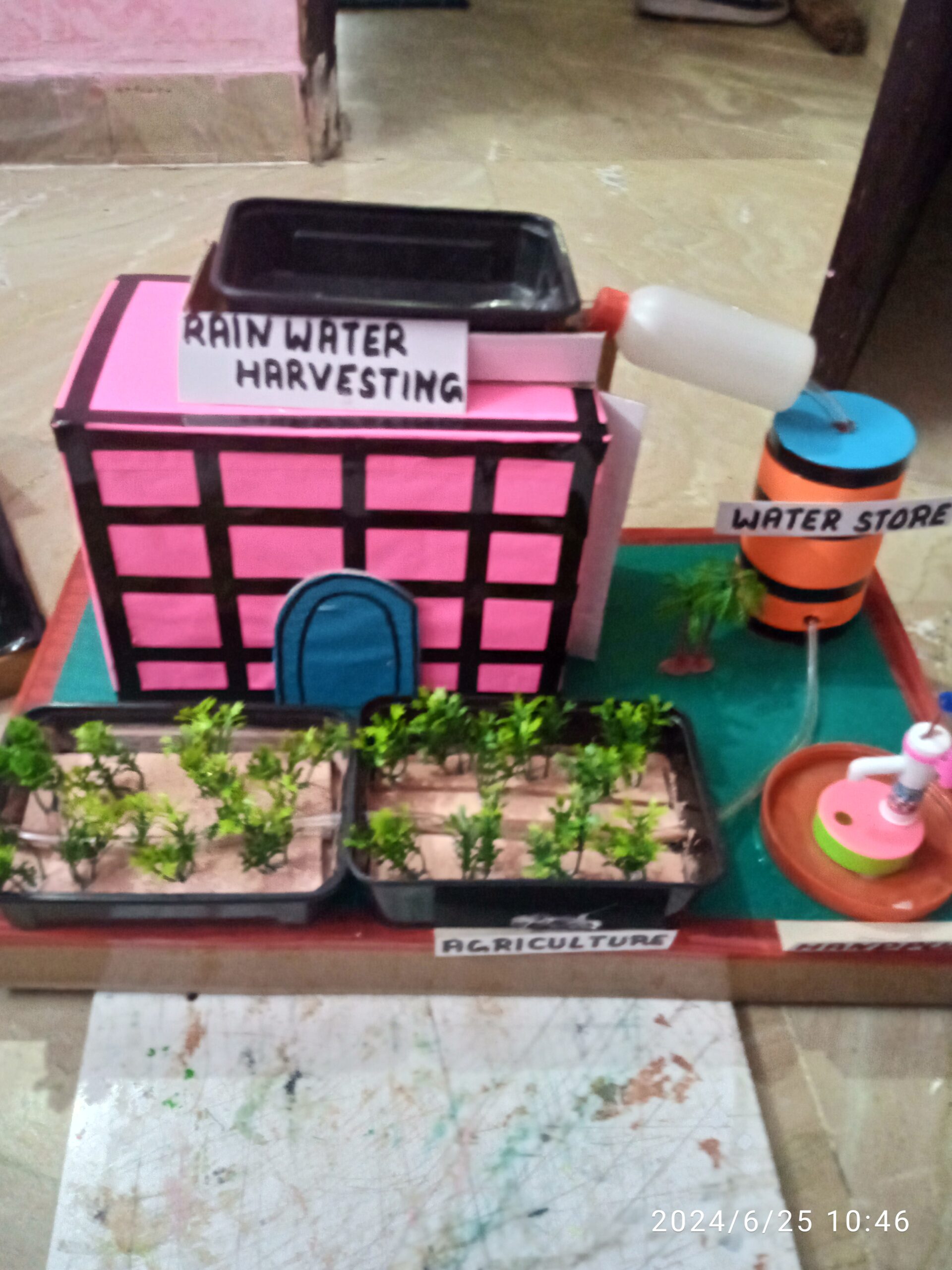 IMG_20240625_104642 1 scaled